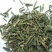 穿心连穿心莲一见喜苦胆草穿心连中药材