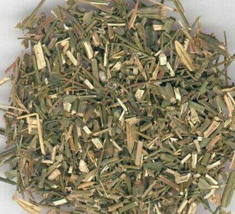 穿心连穿心莲一见喜苦胆草穿心连中药材