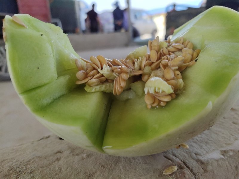 甜瓜玉菇甜瓜冰激凌瓜