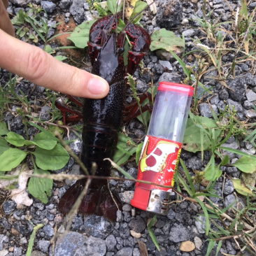 规格硬货源充足货损包赔