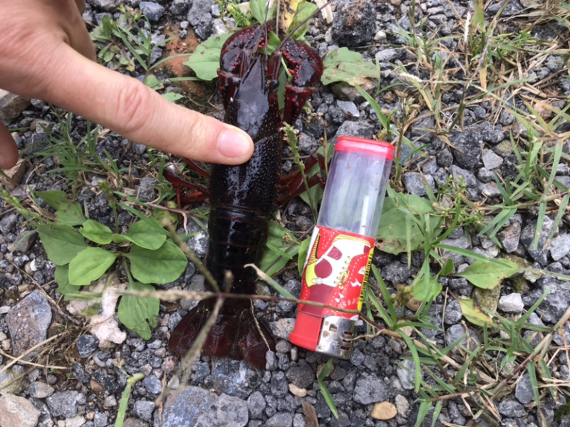 规格硬货源充足货损包赔
