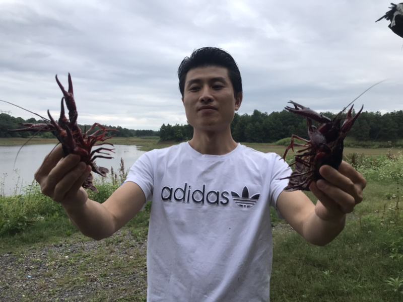 规格硬货源充足货损包赔