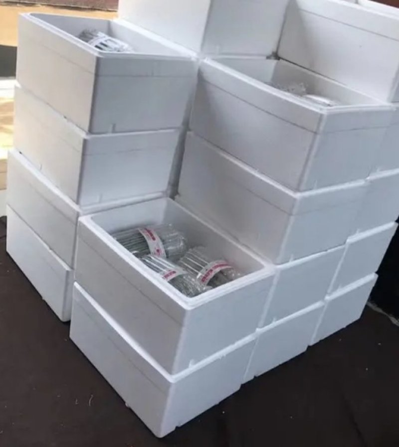 庞各庄精品吊瓜L600