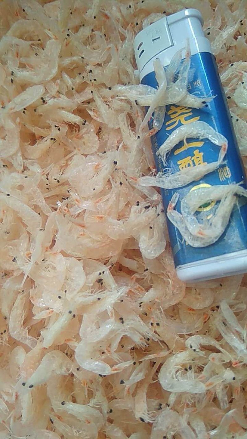 虾皮厂家直销品种两千多种老少皆宜价格便宜