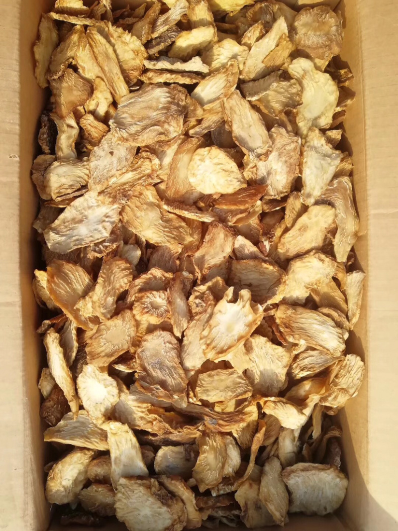 肉苁蓉鲜干片