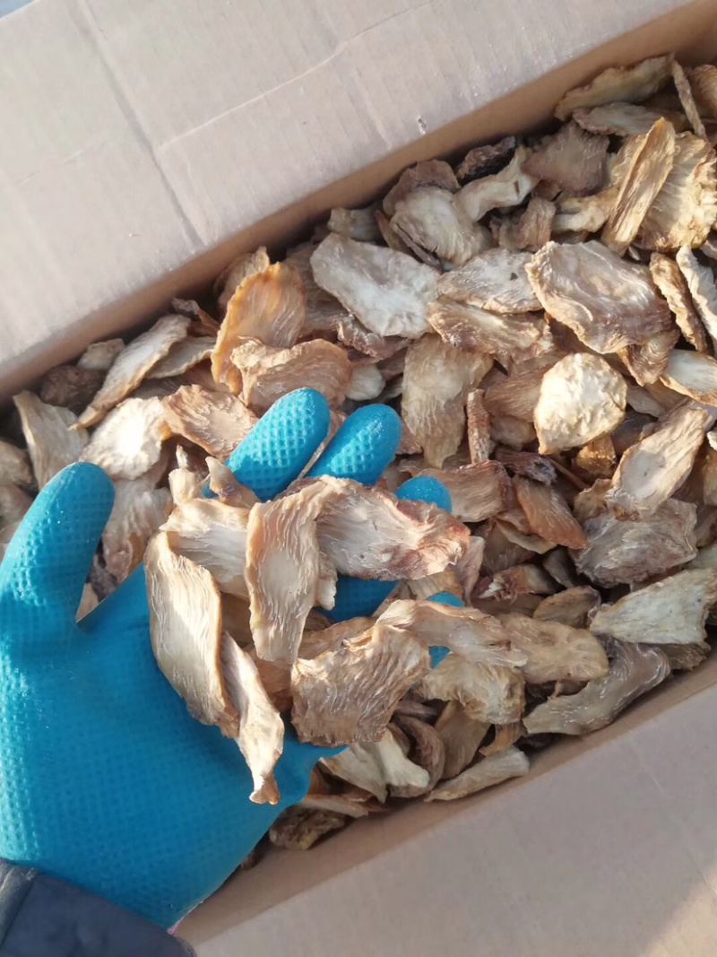 肉苁蓉鲜干片