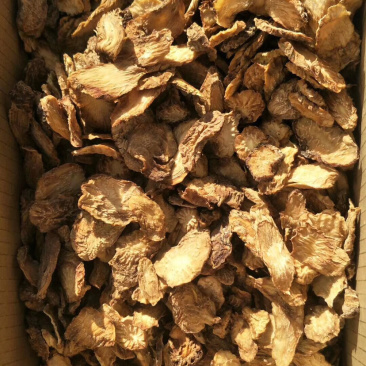 肉苁蓉鲜干片