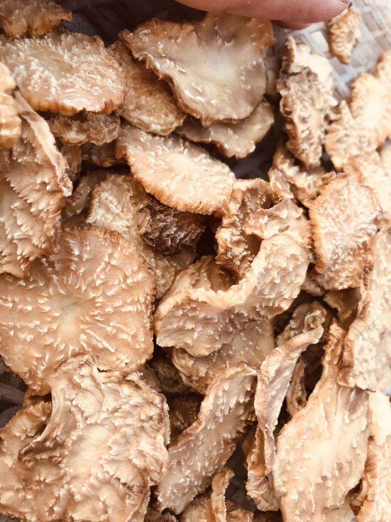 肉苁蓉鲜干片