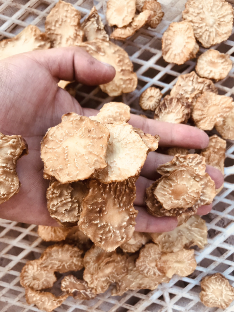 肉苁蓉鲜干片