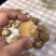 肉苁蓉鲜干片