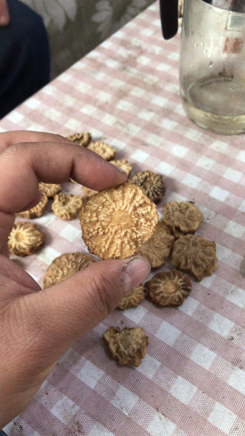 肉苁蓉鲜干片