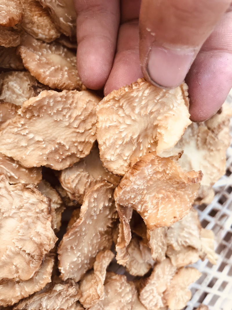 肉苁蓉鲜干片