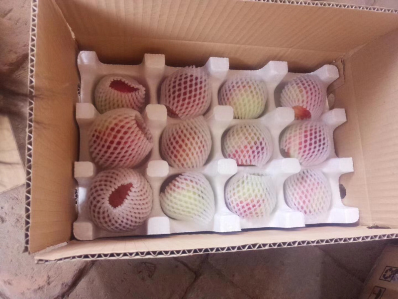 陕西水蜜桃一件代发