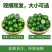 海南小青金桔