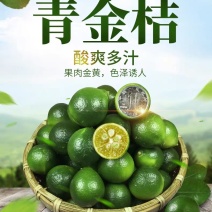 海南小青金桔
