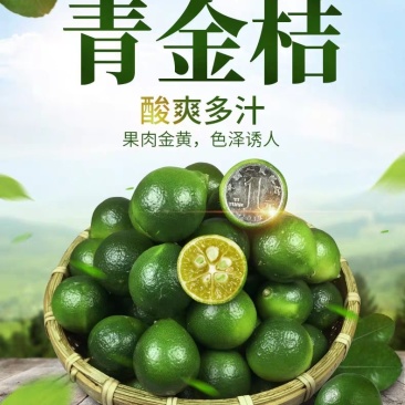 海南小青金桔