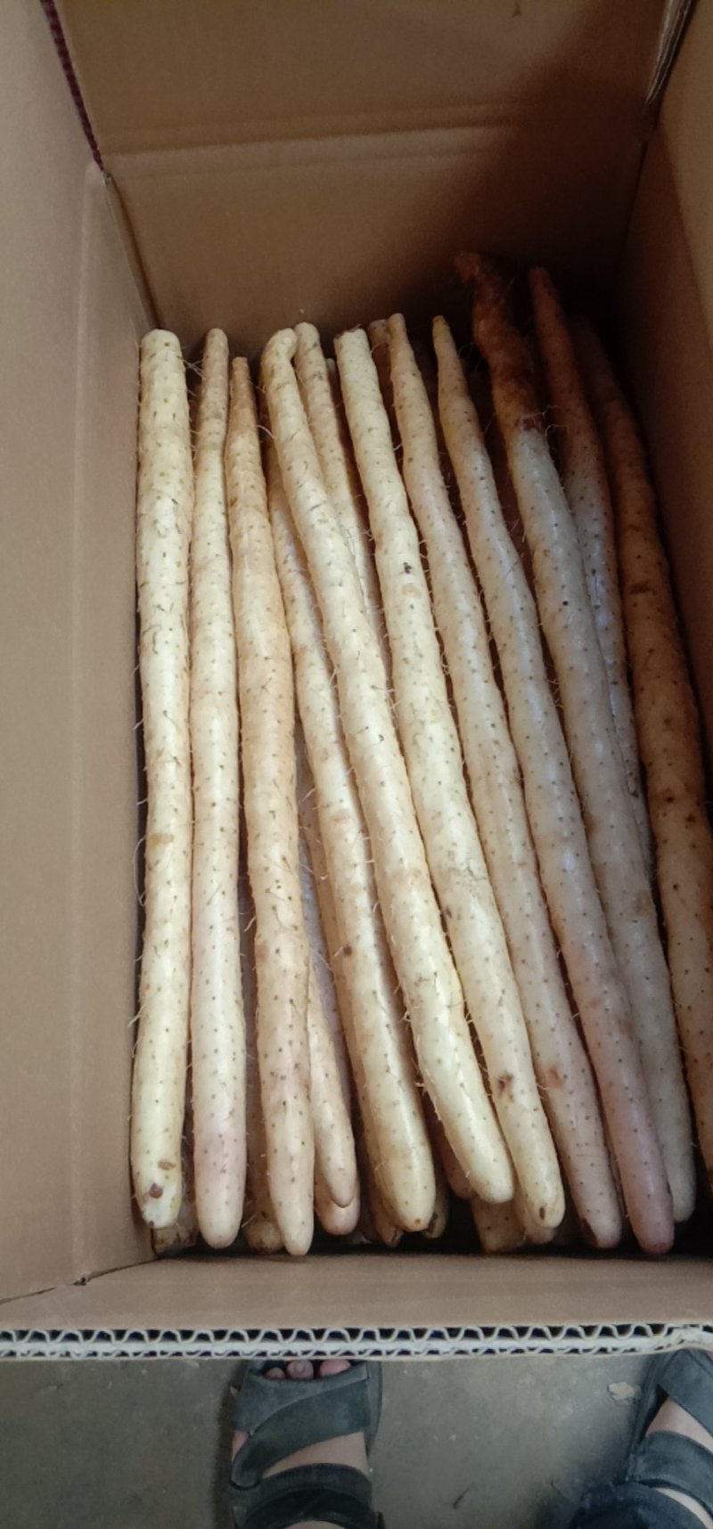 铁棍山药精品箱货，网袋