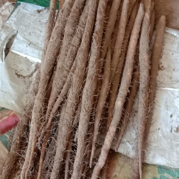 铁棍山药精品箱货，网袋