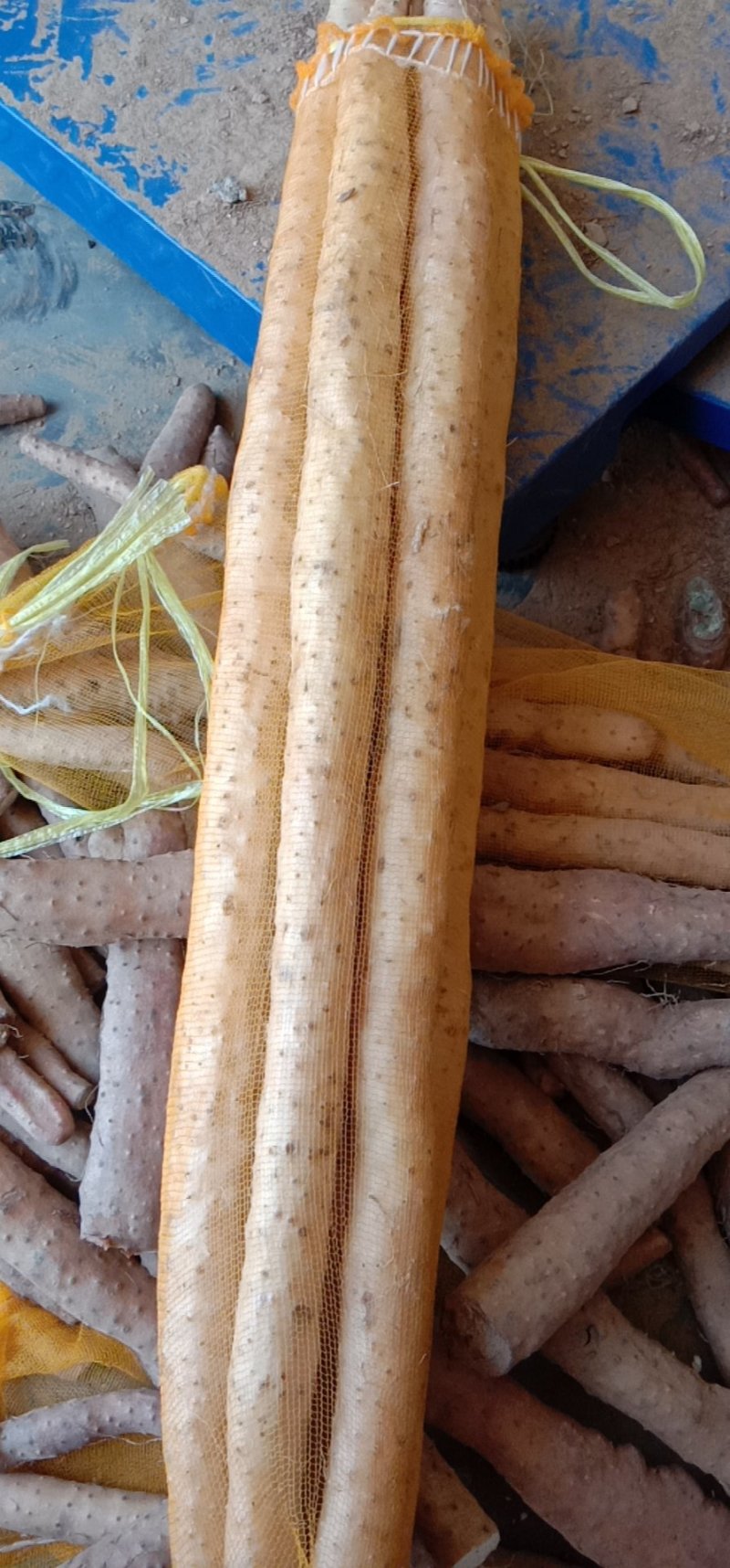 铁棍山药精品箱货，网袋