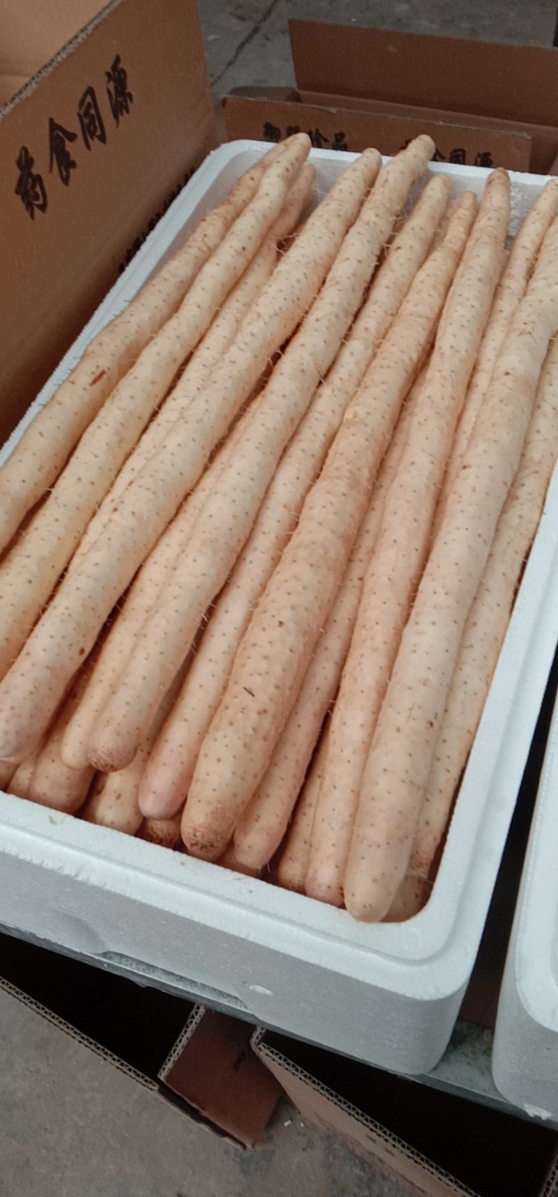 铁棍山药精品箱货，网袋