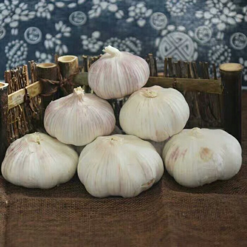 [一件代发]干蒜头包邮5斤新大蒜金乡农家自种蔬菜紫白皮