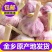 [一件代发]干蒜头包邮5斤新大蒜金乡农家自种蔬菜紫白皮