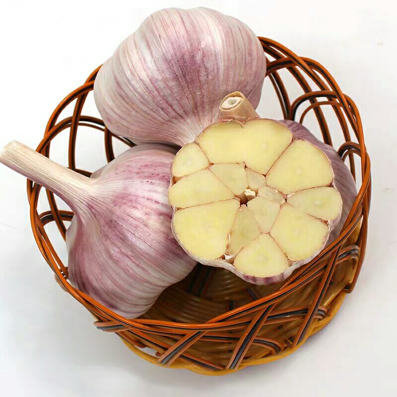 [一件代发]干蒜头包邮5斤新大蒜金乡农家自种蔬菜紫白皮