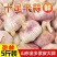 [一件代发]干蒜头包邮5斤新大蒜金乡农家自种蔬菜紫白皮