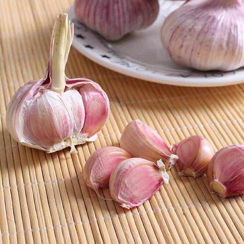 [一件代发]干蒜头包邮5斤新大蒜金乡农家自种蔬菜紫白皮