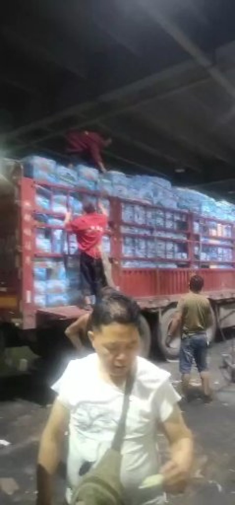 蒙阳甜王西瓜