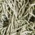 豆角四季豆现货20---35厘米长五斑点无虫眼