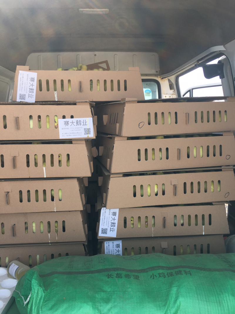 鹅饲料养殖场供应好货质量优价格优惠厂家服务技术