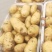 荷兰十五土豆，兰陵县黄心土豆，实力代办，诚信代发