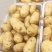 荷兰十五土豆，兰陵县黄心土豆，实力代办，诚信代发
