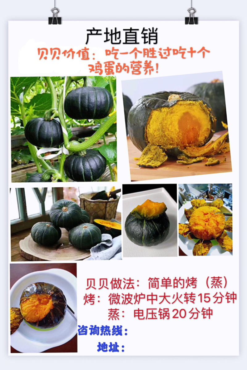 贝贝小南瓜产地直销