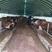 大棚钢管骨架建设温室种植养殖蔬菜大棚钢管