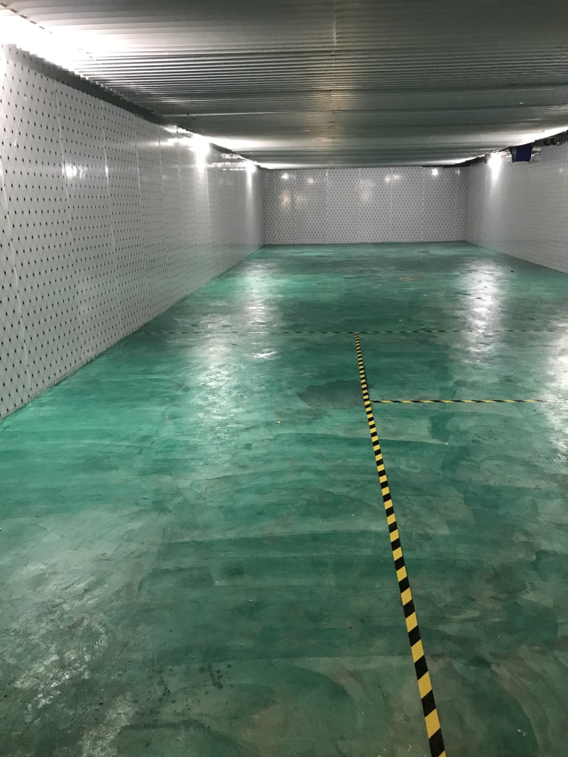 东西湖冷藏库冷冻库出租