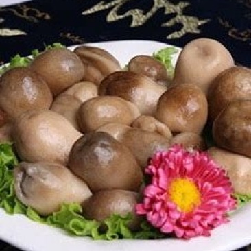 清水草菇