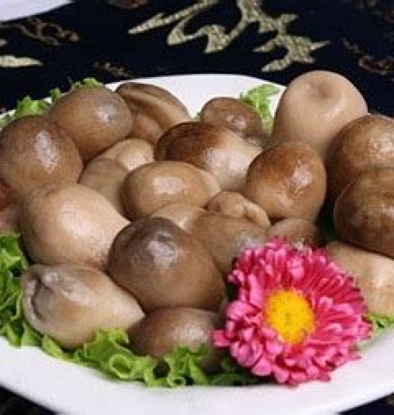 清水草菇
