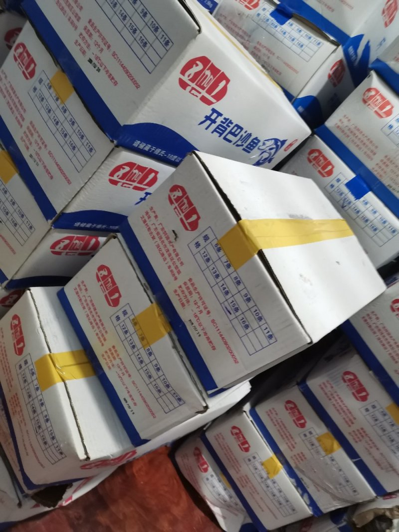 巴沙鱼无刺老人小孩都能吃营养丰富顺丰空运包邮