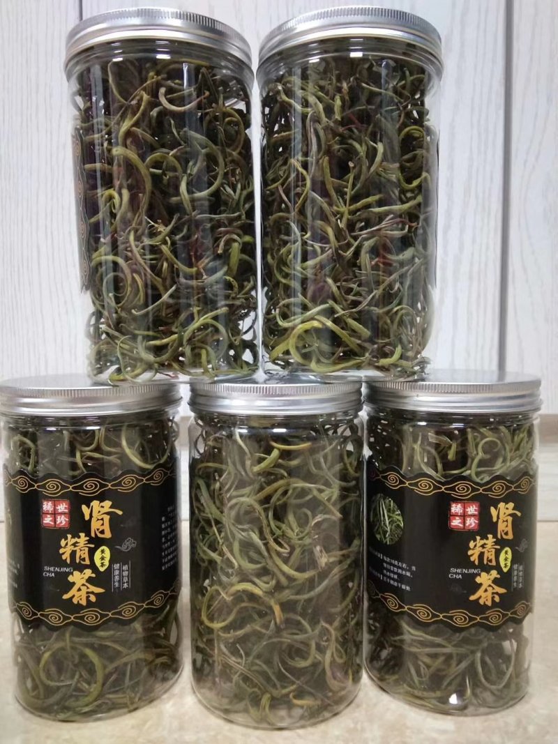 化石草肾精茶颜色绿猫须草化石草