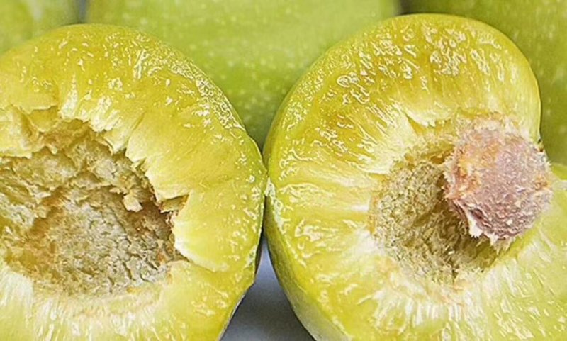脱骨李