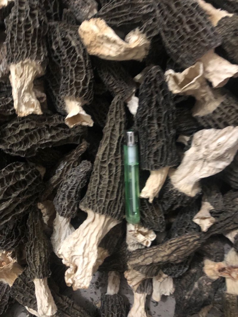 羊肚菌头茬产地一手货源批发零售