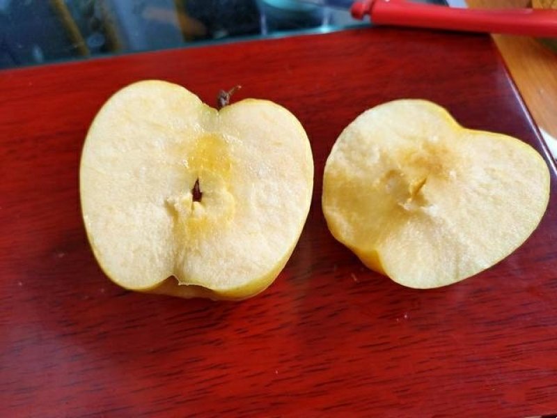 威尼斯黄金苹果