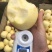 威尼斯黄金苹果