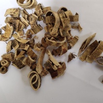 桑白皮统货批发零售量大可以支持混批1000克起