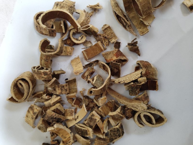 桑白皮统货批发零售量大可以支持混批1000克起
