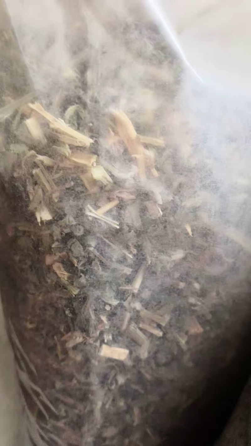 中药材倒扣草倒钩草倒梗草倒刺草倒挂草倒捋草