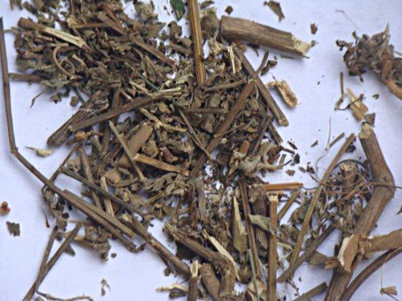 中药材倒扣草倒钩草倒梗草倒刺草倒挂草倒捋草