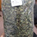 狗肝菜九干菜猪肝菜路边青羊肝菜四籽马蓝狗肝菜